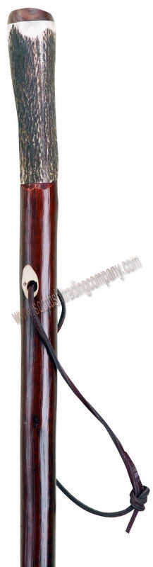 Stag Horn Hiking Stick - Click Image to Close