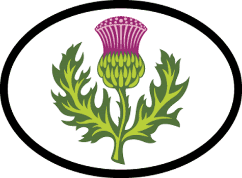 Scottish Thistle Decal - Click Image to Close