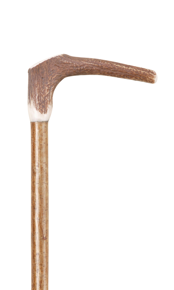 Stag Horn Cane - Click Image to Close