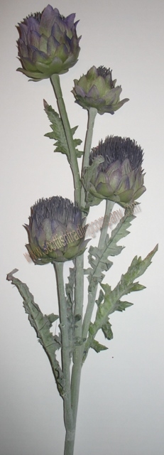 Four Large Thistles