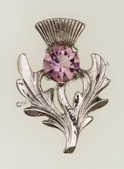 Scottish Thistle Brooch - Click Image to Close