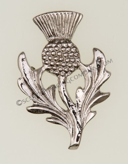 Scottish Thistle Brooch - Click Image to Close