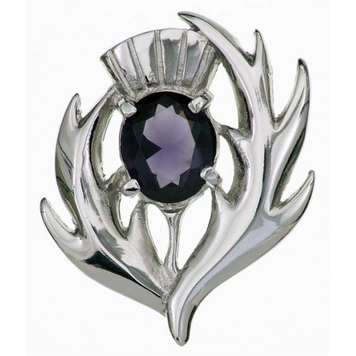 Scottish Thistle Stone Brooch - Click Image to Close