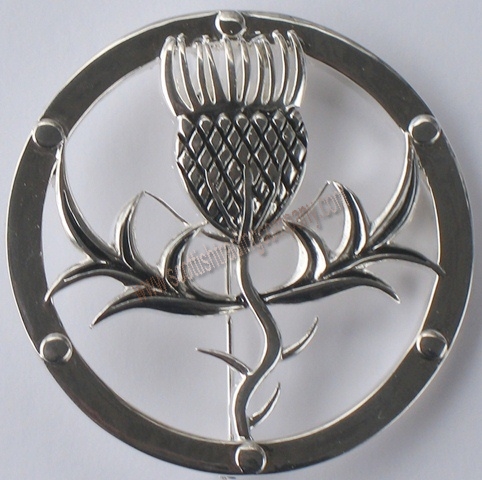 Scottish thistle round brooch