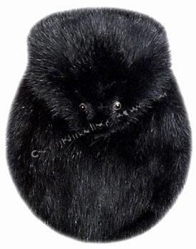 Black Muskrat Head On Sporran - Click Image to Close