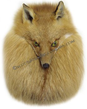 Red Fox Head On Sporran