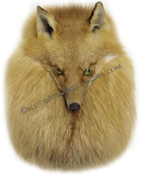 Red Fox Head On Sporran - Click Image to Close