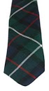 Davidson of Tulloch Clan Modern Tartan Tie - Click Image to Close