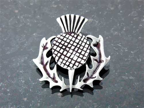 Scottish Thitle Pin and Pendant